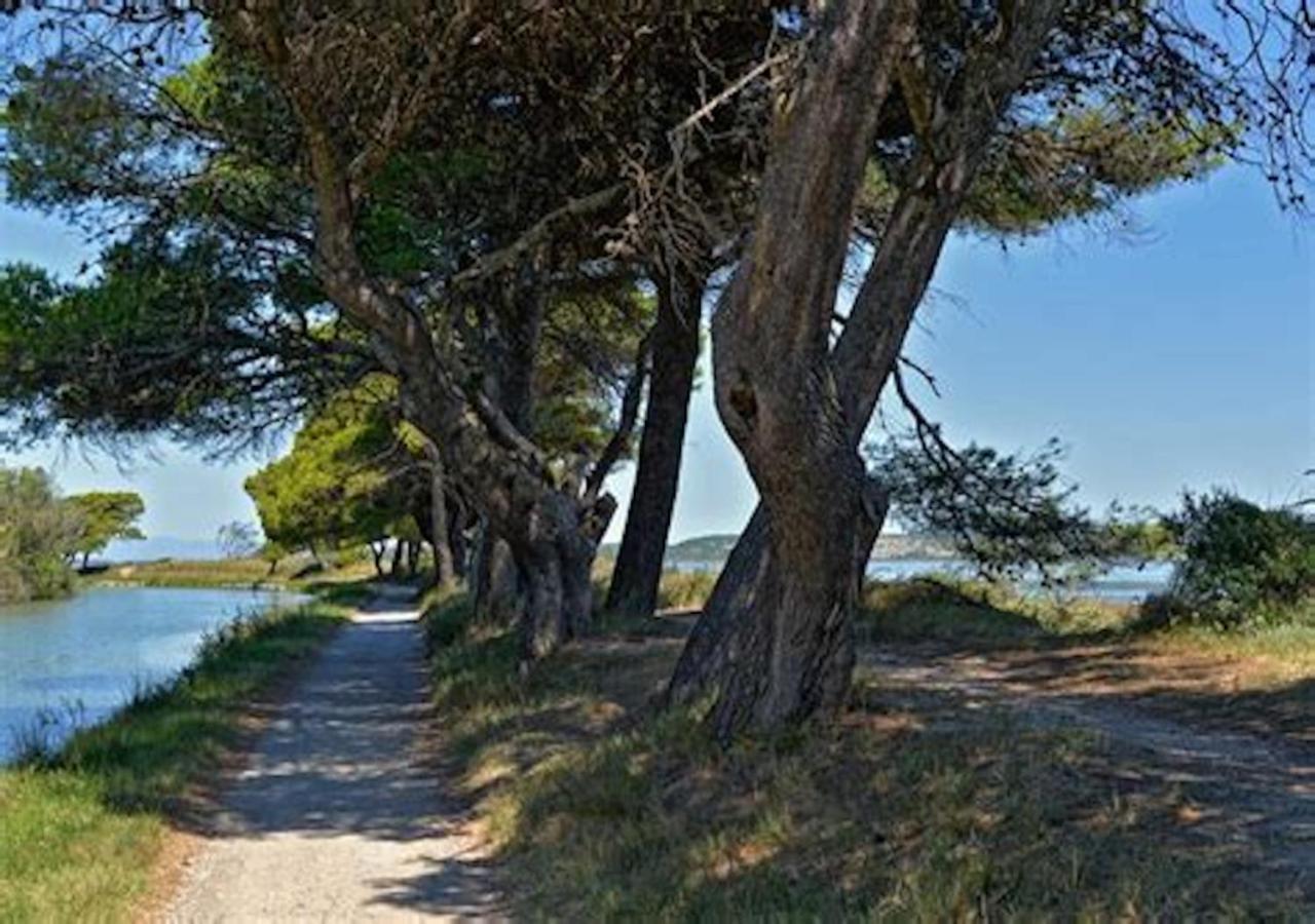 Le Bruit Des Vagues Sur Echarou * Port-la-Nouvelle