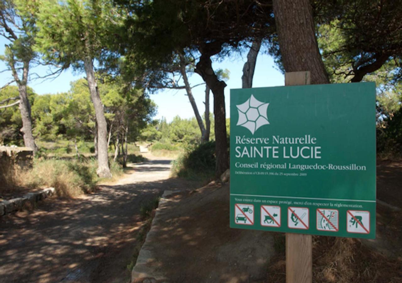 Le Bruit Des Vagues Sur Echarou Port-la-Nouvelle
